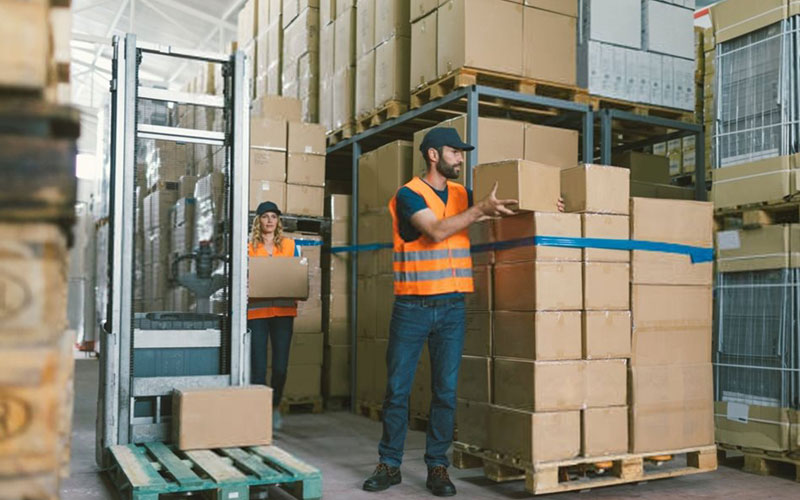 Case and Carton Packaging